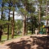 Rocky Mountains - Moraine Park Campground