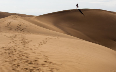 Desert-Walk